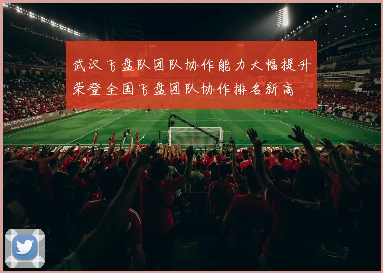 武汉飞盘队团队协作能力大幅提升荣登全国飞盘团队协作排名新高