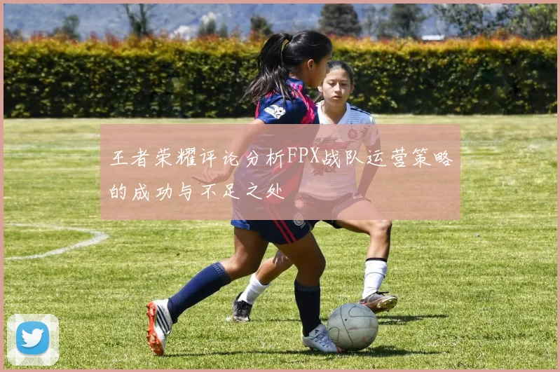 王者荣耀评论分析FPX战队运营策略的成功与不足之处