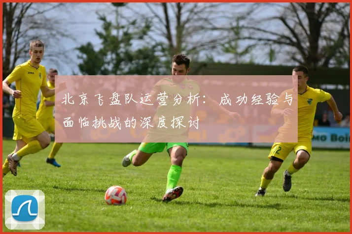 北京飞盘队运营分析：成功经验与面临挑战的深度探讨